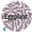 04-eggplant