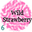 06-wildstrawberry