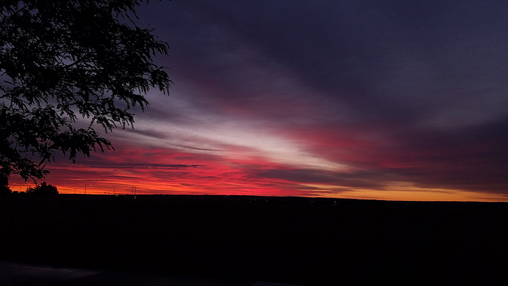 Color Your World –&nbsp;Eggplant