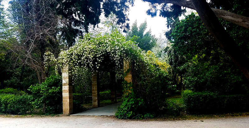 AthensNationalGardens-800-20170413_163447