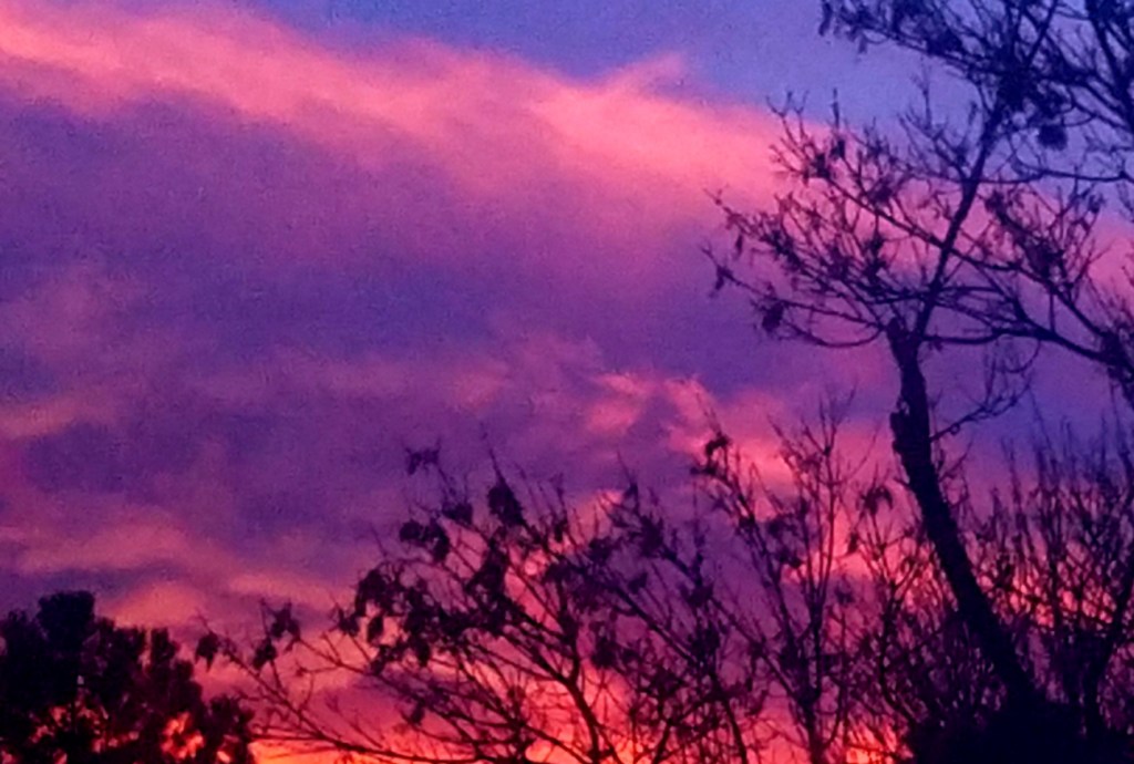 Color Your World –&nbsp;Cerise