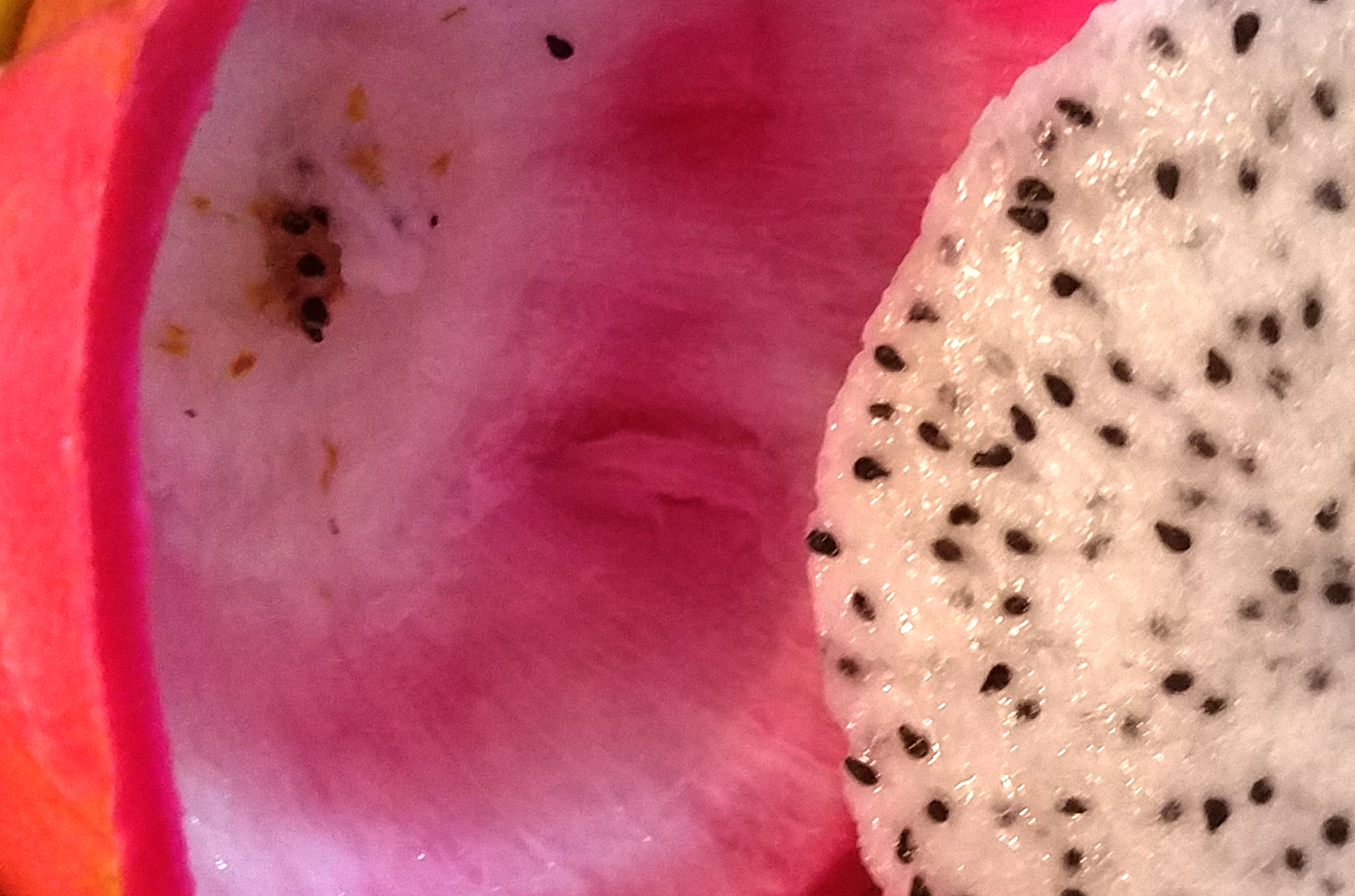 dragonfruit-redviolet20170105_152007