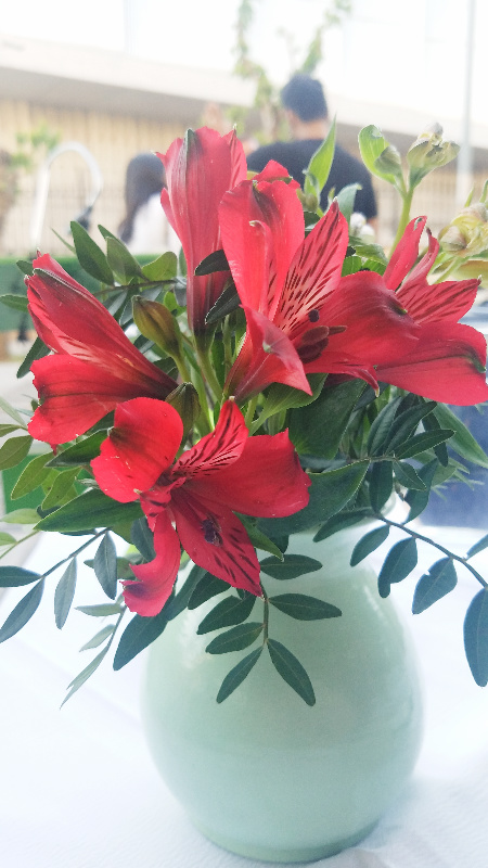 flowers-800-20170413_182343