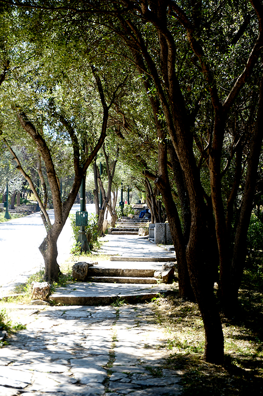 Hill of Muses&nbsp;Pathways