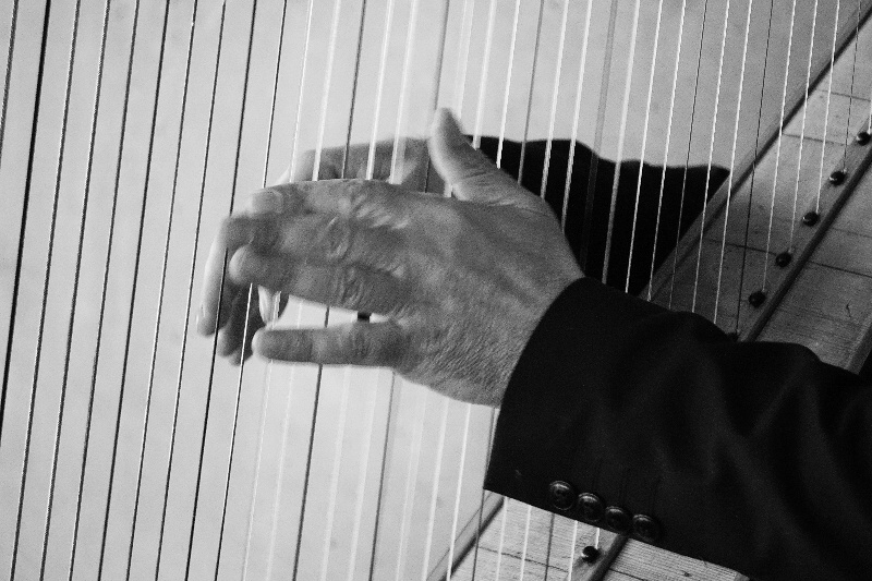 monochromehandharp-DSC00143-800