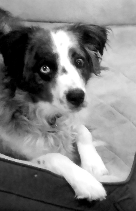 Oberon-20170420_065121