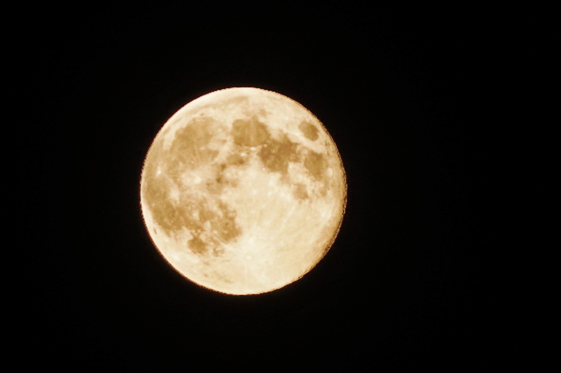 pinkmoon-1-DSC00284