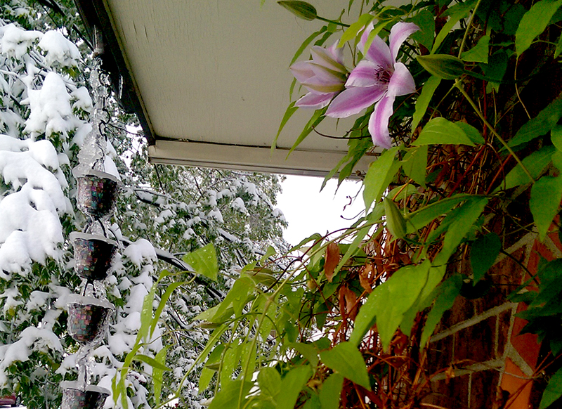 transition-WP_20150510_003-800