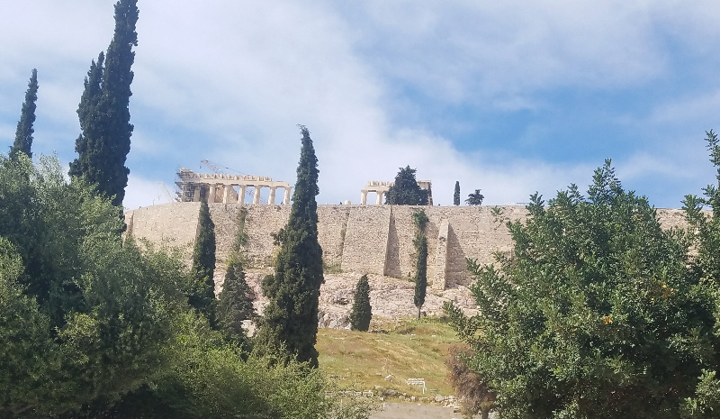 trees-800-20170410_172318