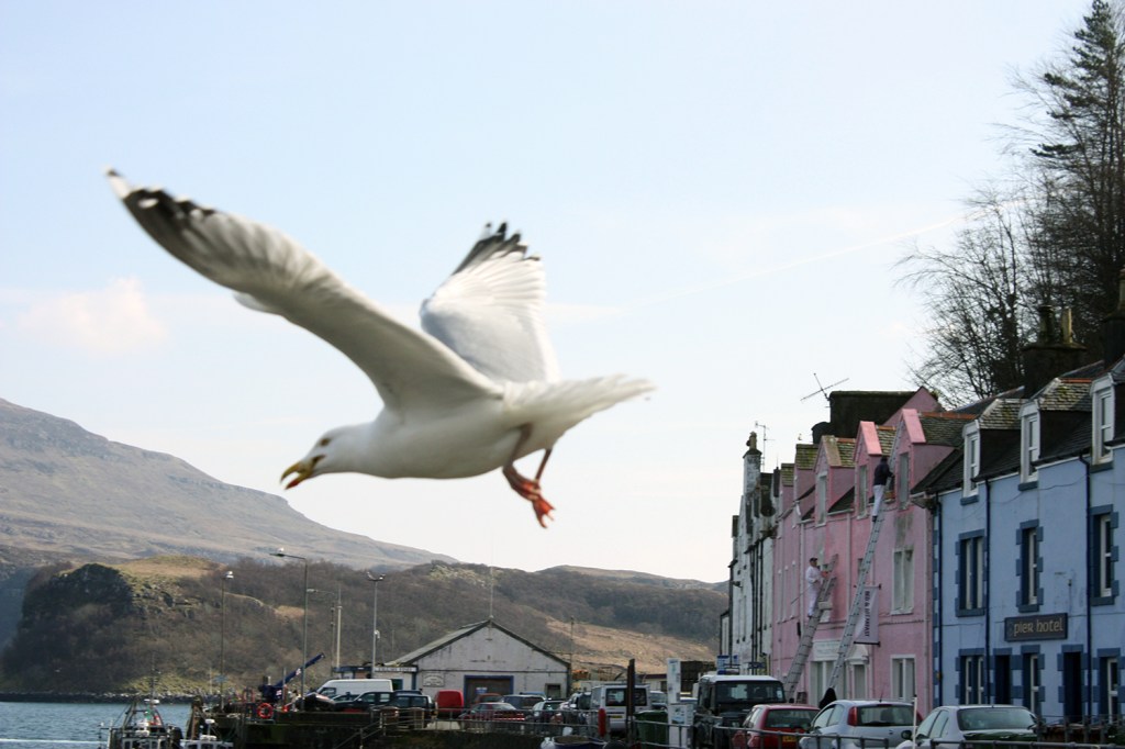 52 Weeks Photo challenge: Week&nbsp;34-Movement