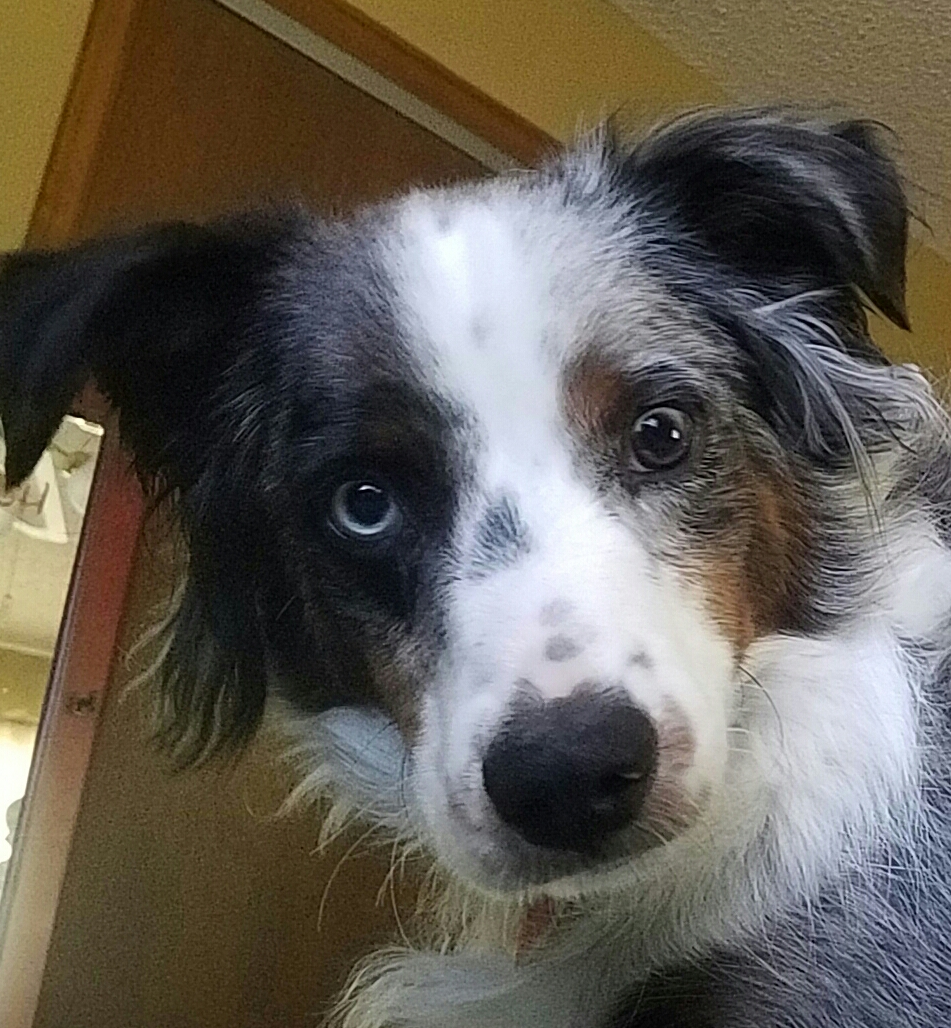 Daily Post Weekly Photo Challenge:&nbsp;Friend