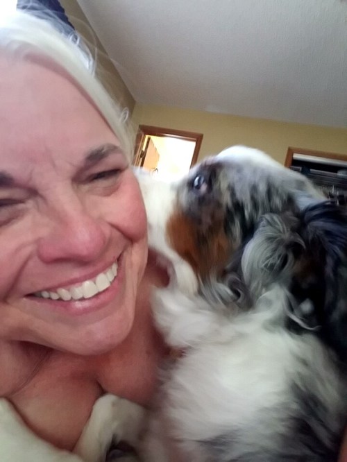 31006315766_3b304b6f26_o