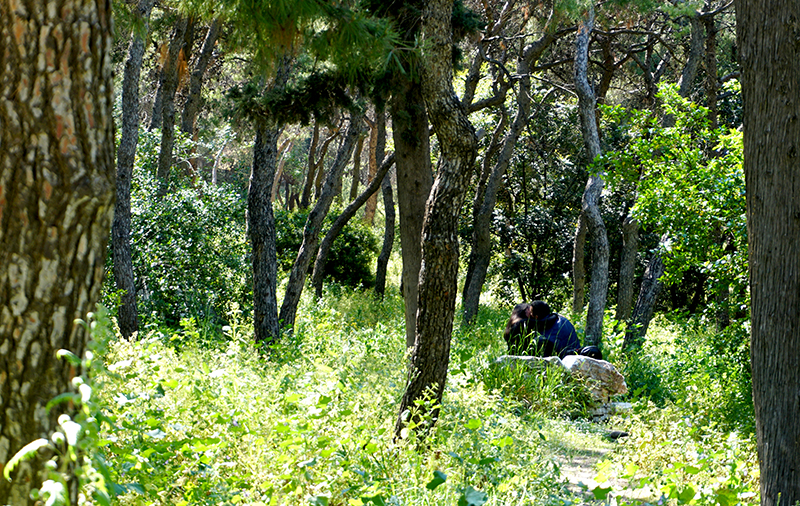 AthensHillofthe Muses -Lovers-patulous -DSC00484-800