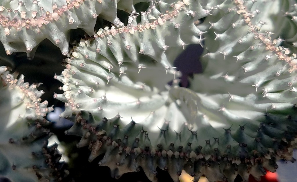 Tuesdays of Texture Week 22 of&nbsp;2017