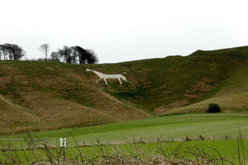 Horse in the&nbsp;Hillside