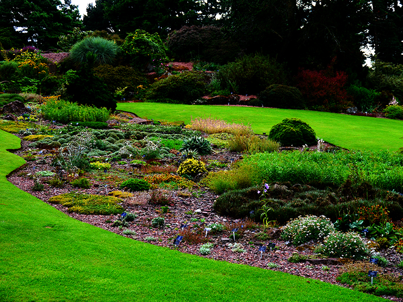 RoyalBotanicGardensP1000130-800