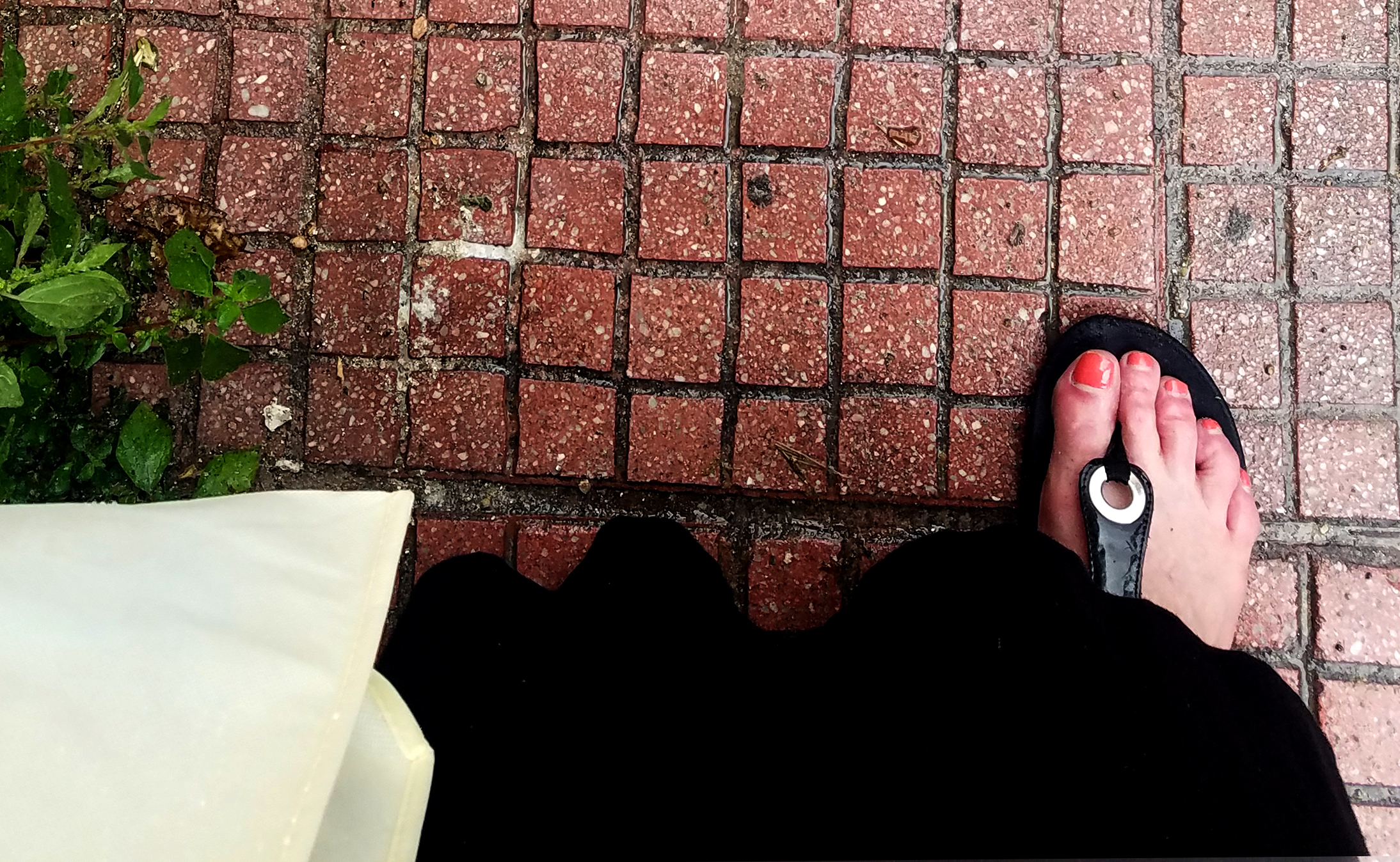 stepping withtheancients-athens-20170417_174032.jpg