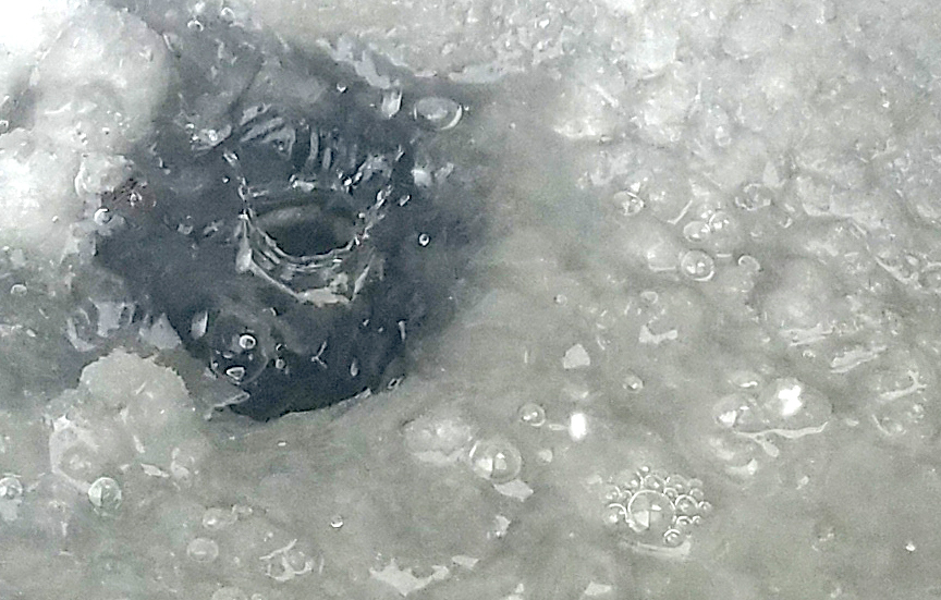 Exposed Beneath the&nbsp;Ice