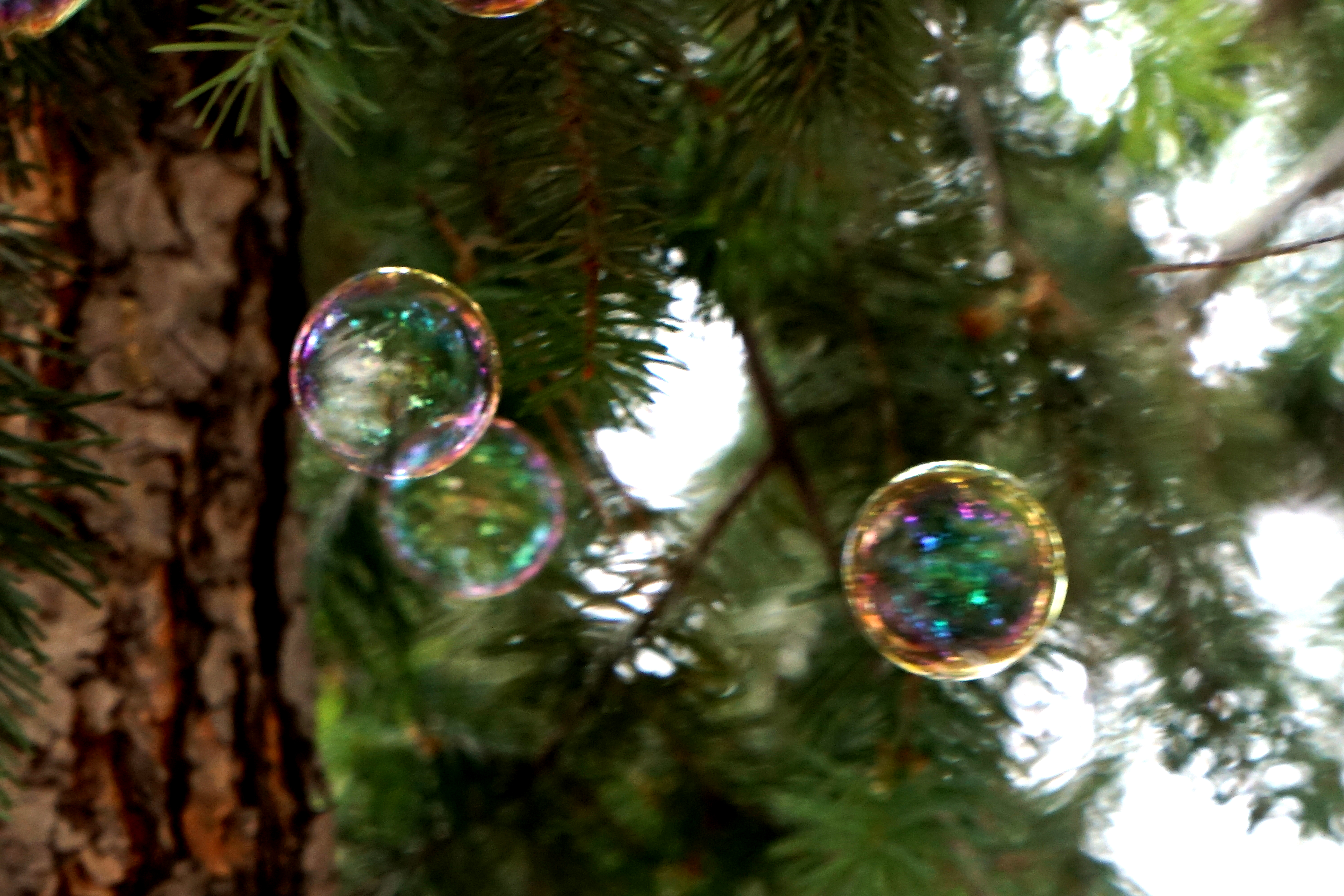 00-3bubbles-DSC01154