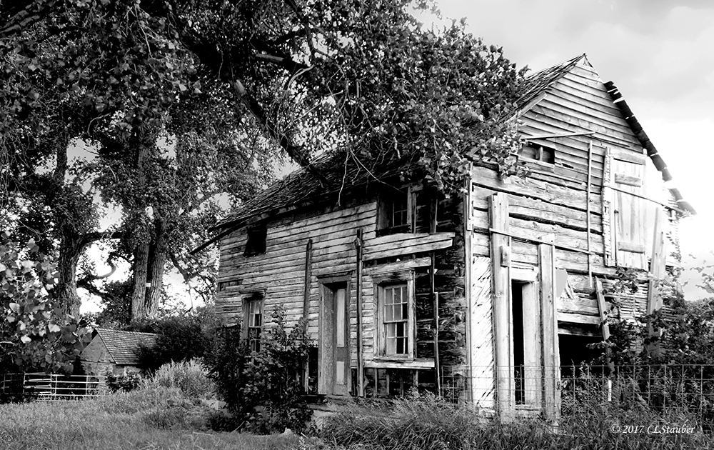 00-house-DSC02423-monochromeC-800