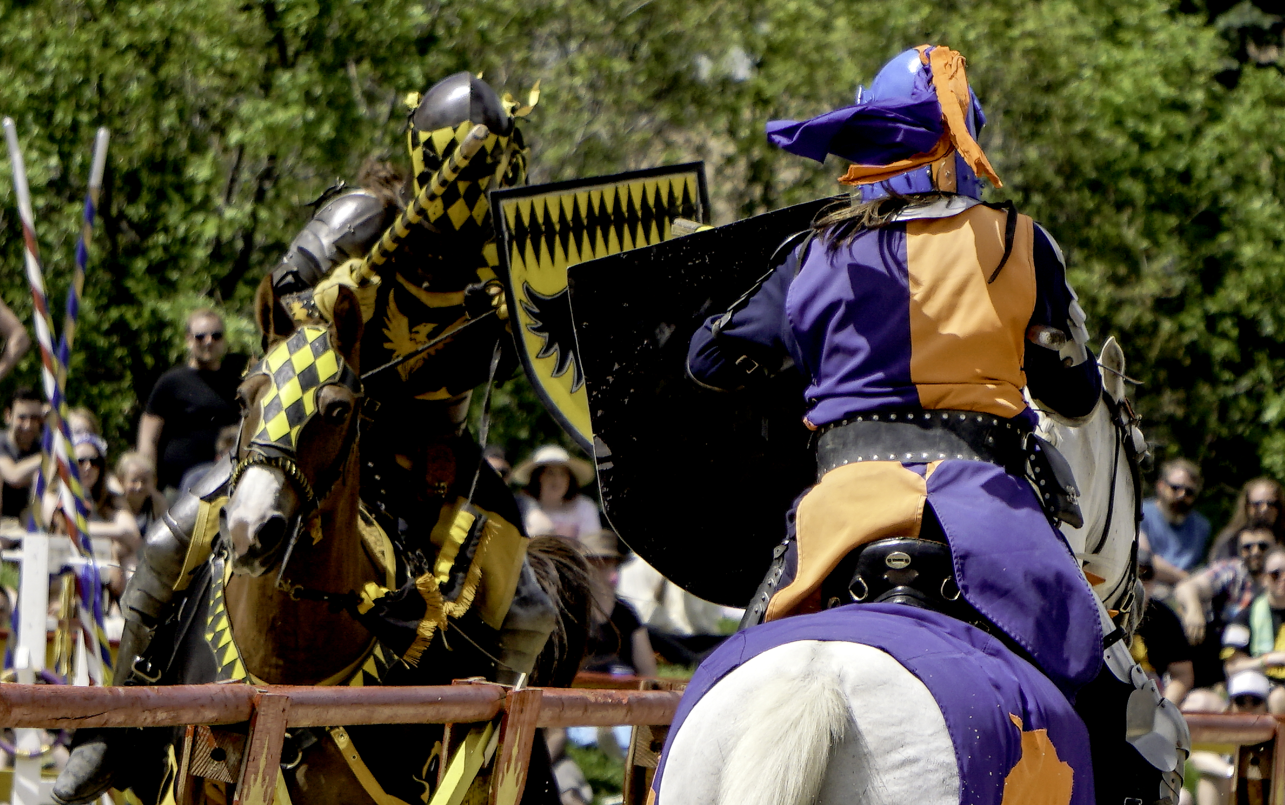 Renaissance Fair 2017