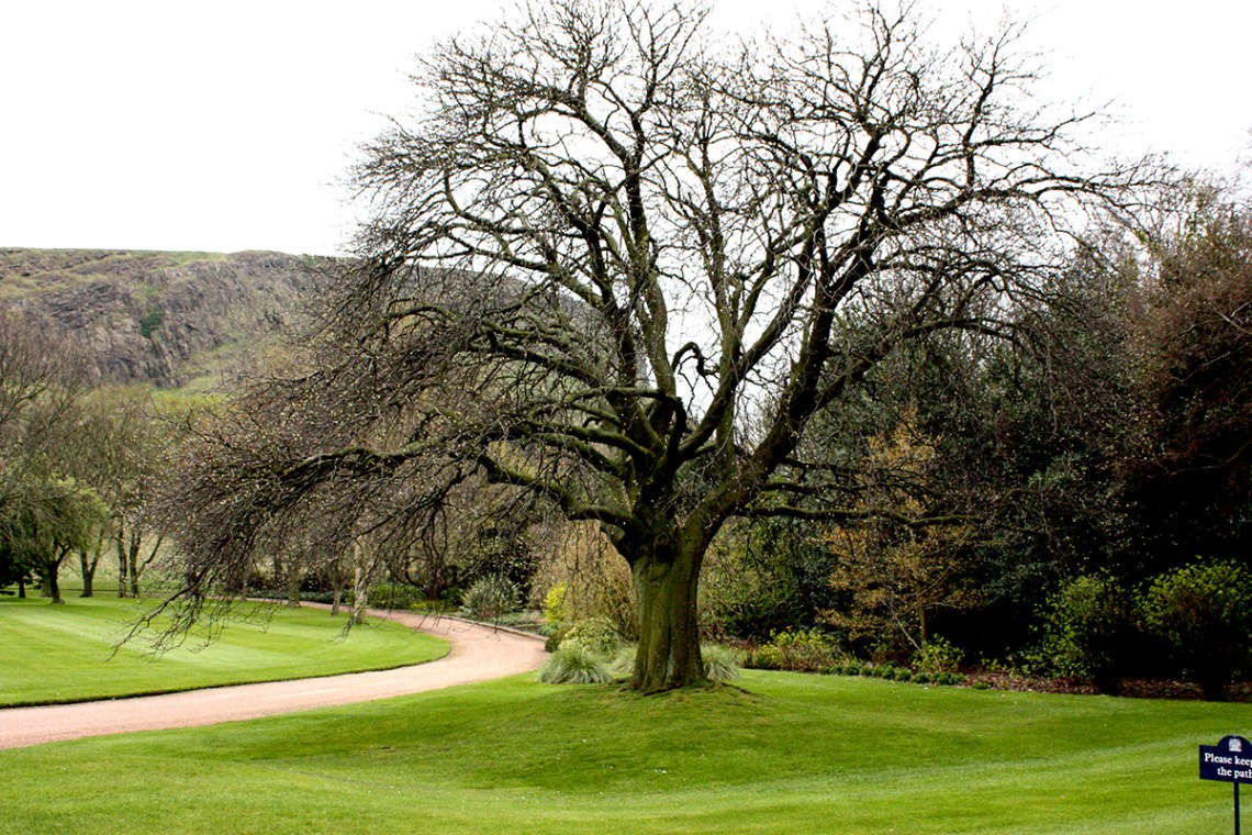 ArthursSeatScotland20090406_199-800