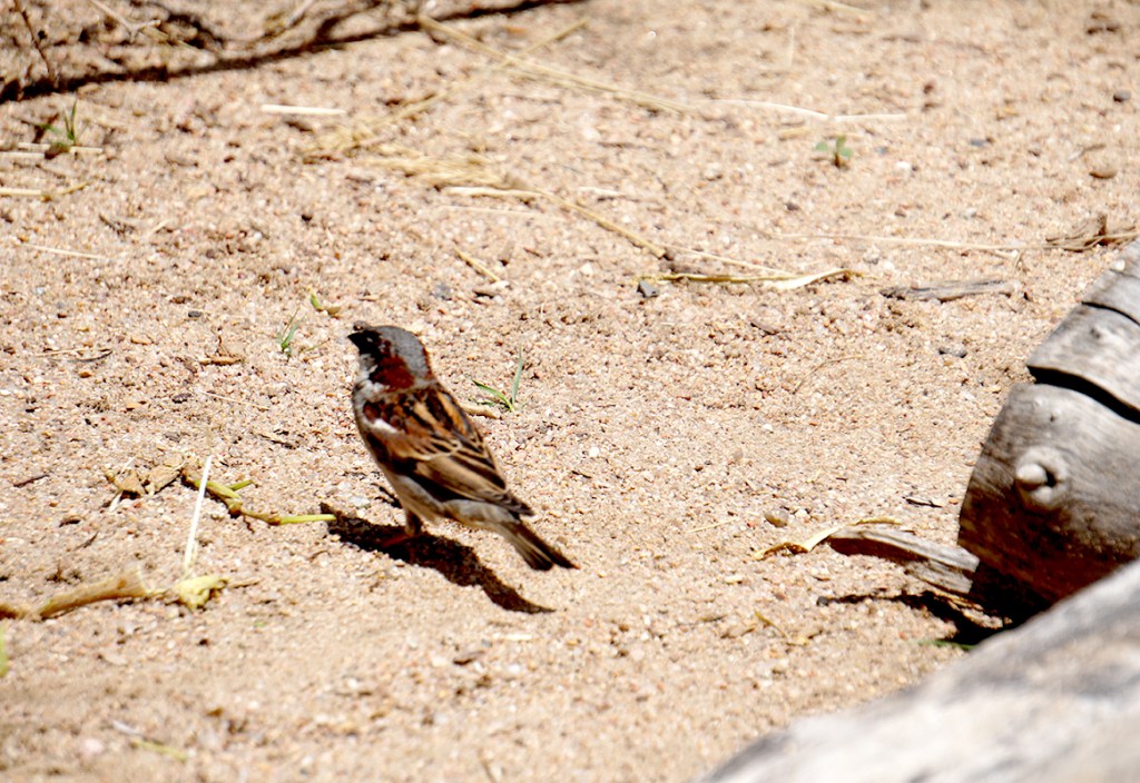 Mundane Monday Challenge #112 : Learn&nbsp;Photography