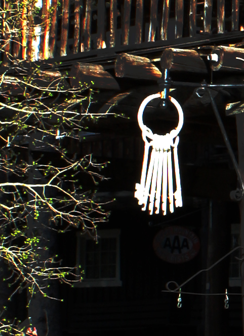 Baldpate-keys-IMG_3762