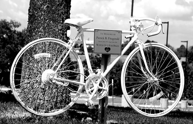 bikesignDSC00658-800