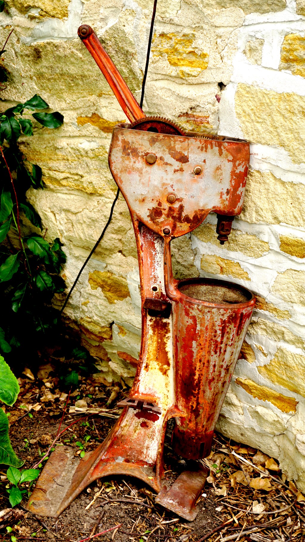 Do you know what this&nbsp;is?