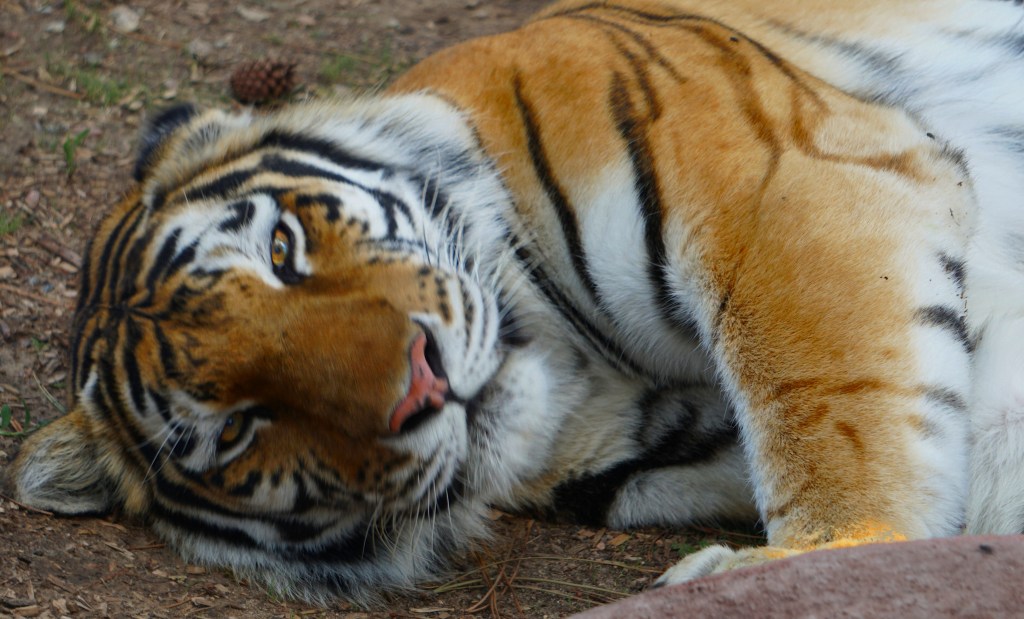 The Slow, Lazy Days of&nbsp;Summer