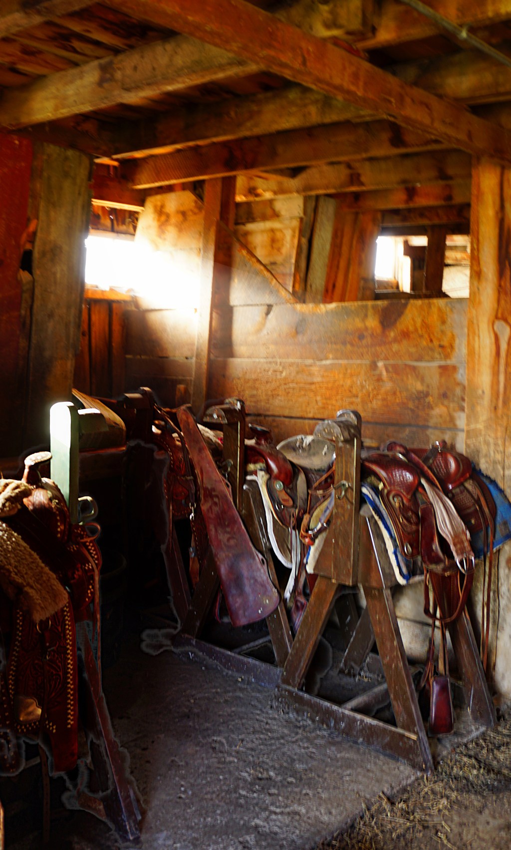 Mundane Monday Challenge #116: Learn&nbsp;Photography