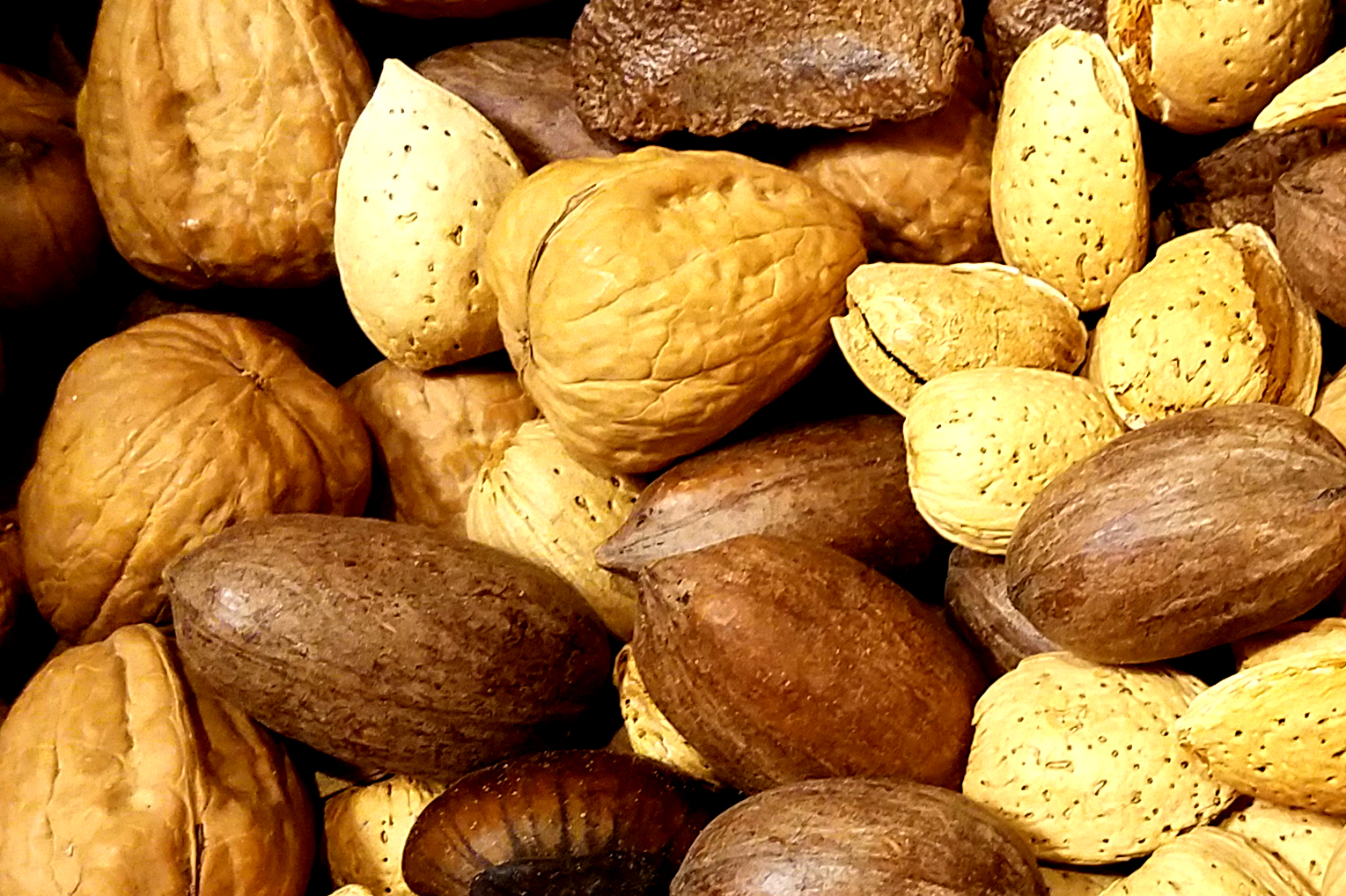 texture20170109_nuts