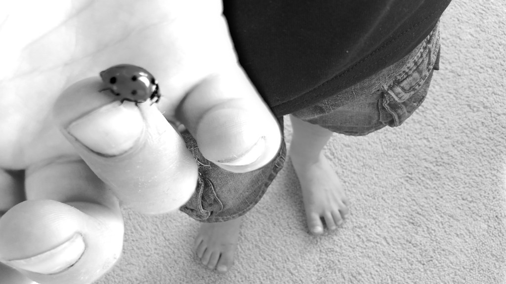 CB&W Photo Challenge – Hands, Feet, or&nbsp;Paws