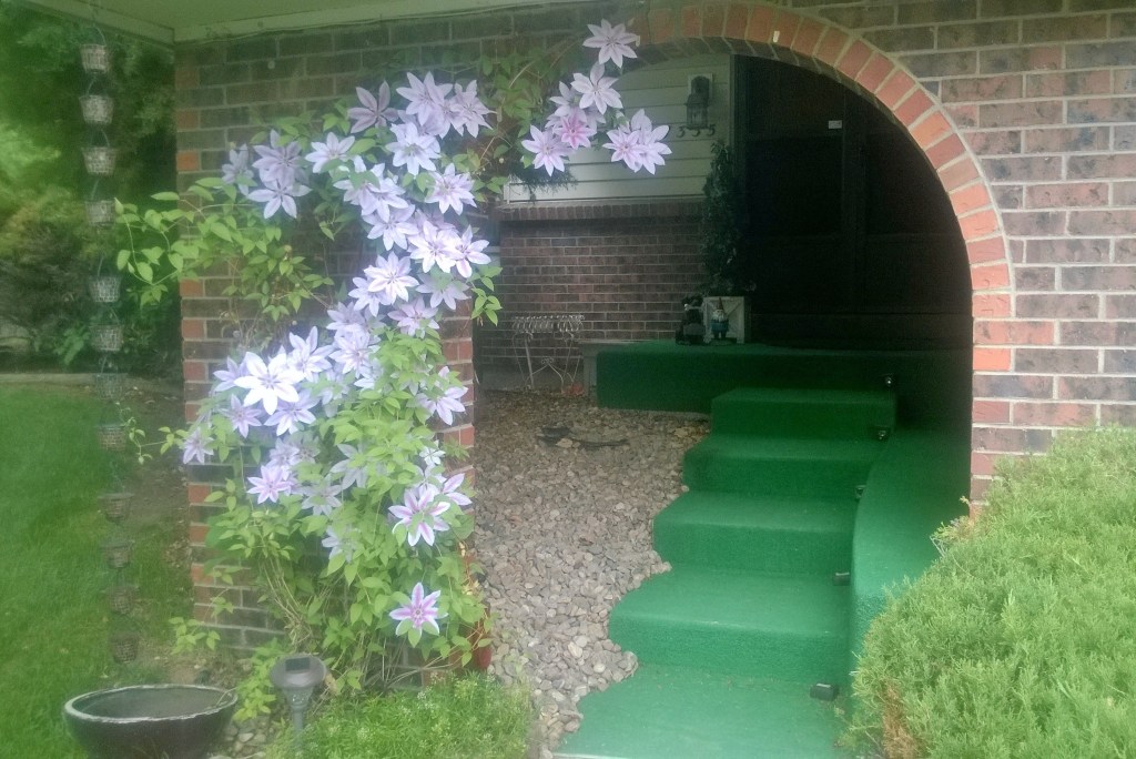 Home – July&nbsp;30