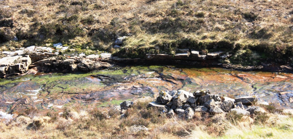 Daily Prompts-Shimmer