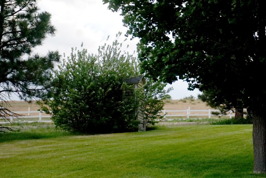 Sunday Trees –&nbsp;299