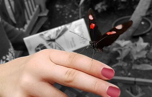 03-20170916_144427_A