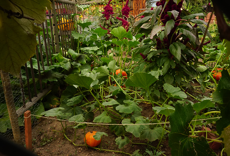 Mundane Monday Challenge #126: Learn&nbsp;Photography