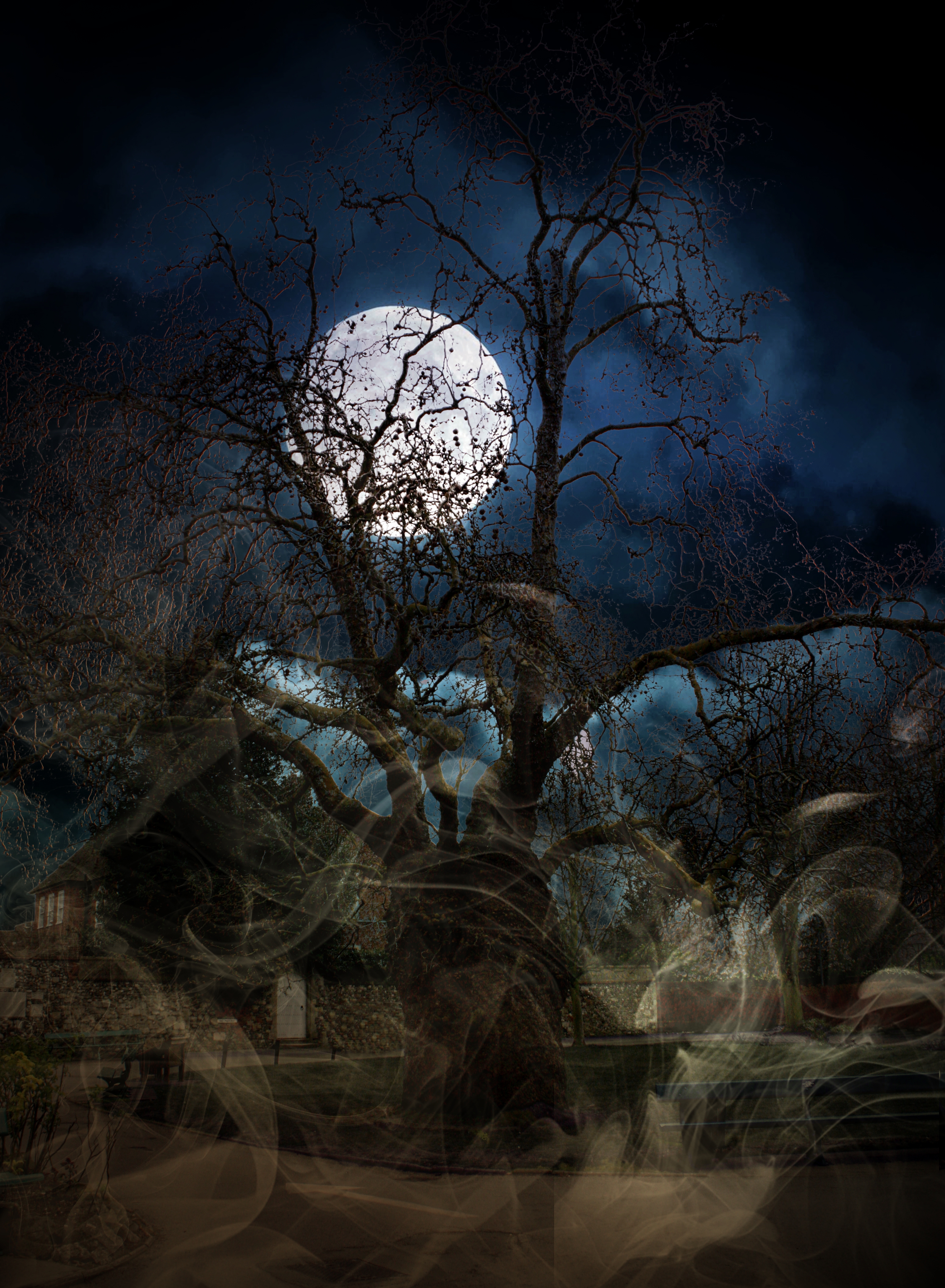 spooky-CanteburyIMG_3011_A