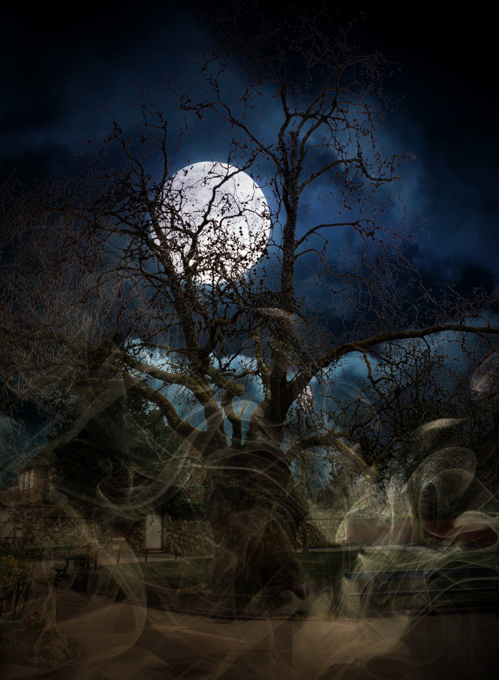 Spooky Canterbury Tree