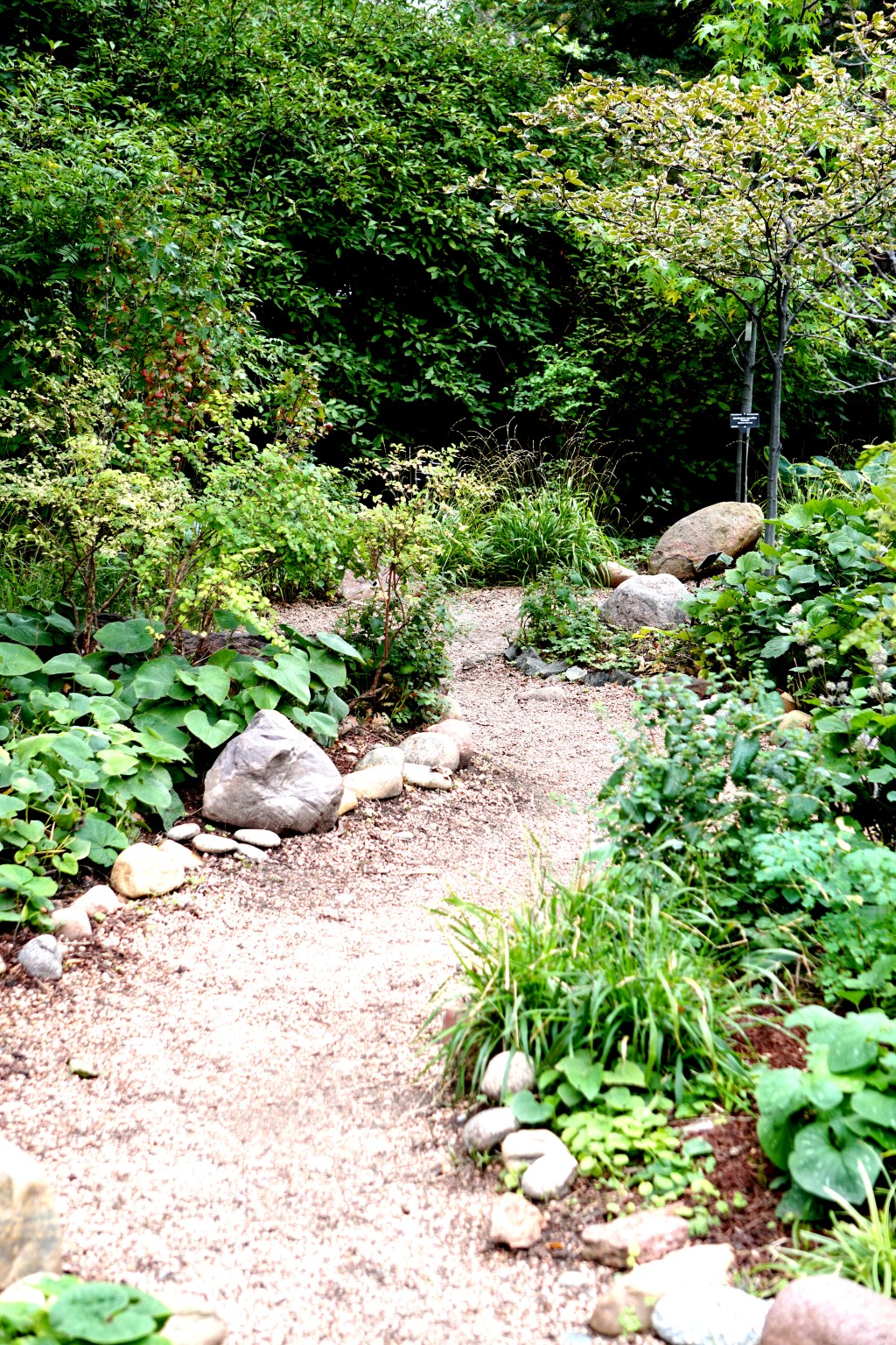 A Photo a Week Challenge: Off the Beaten&nbsp;Track