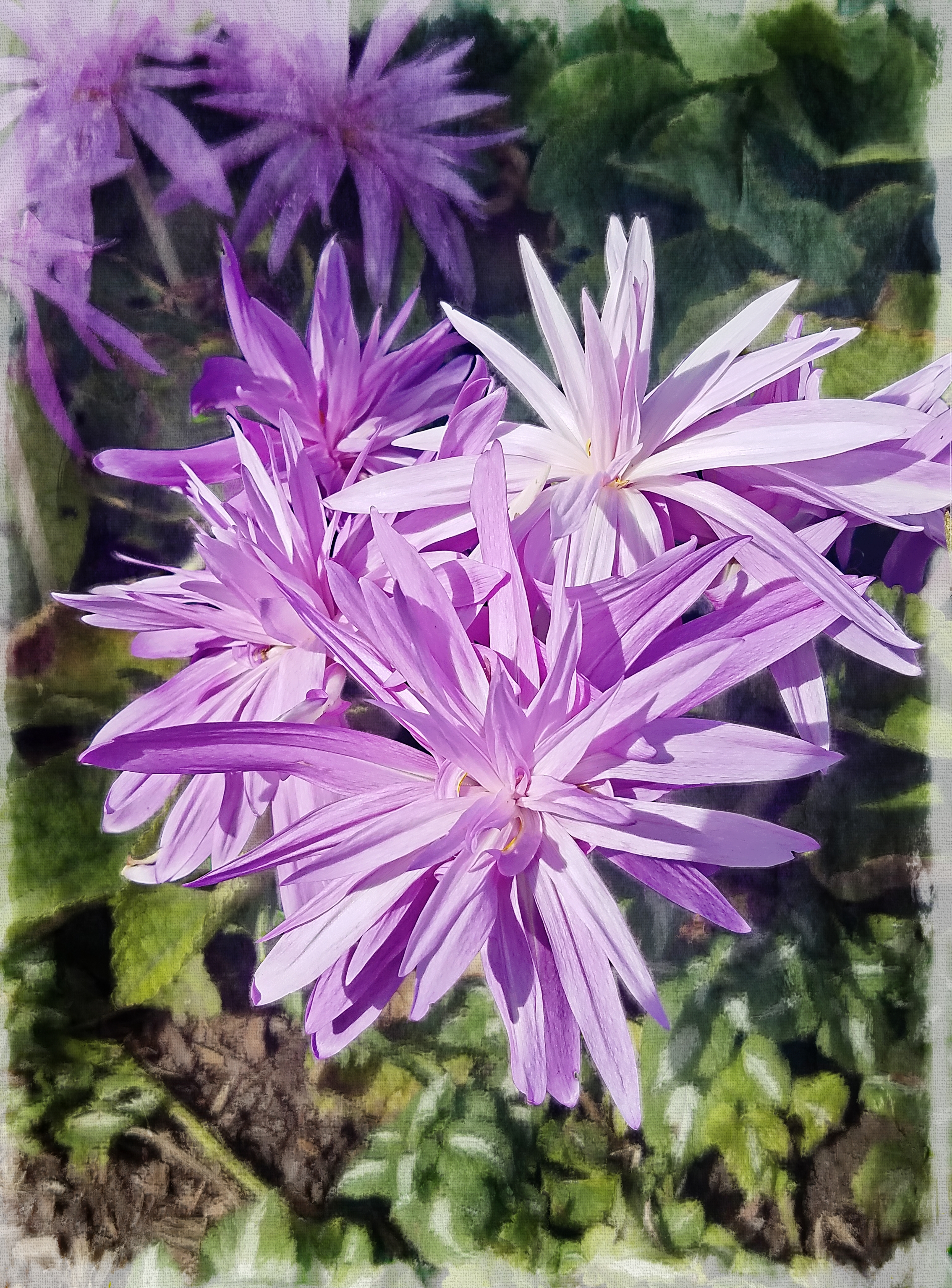 00-aster20170930_113626