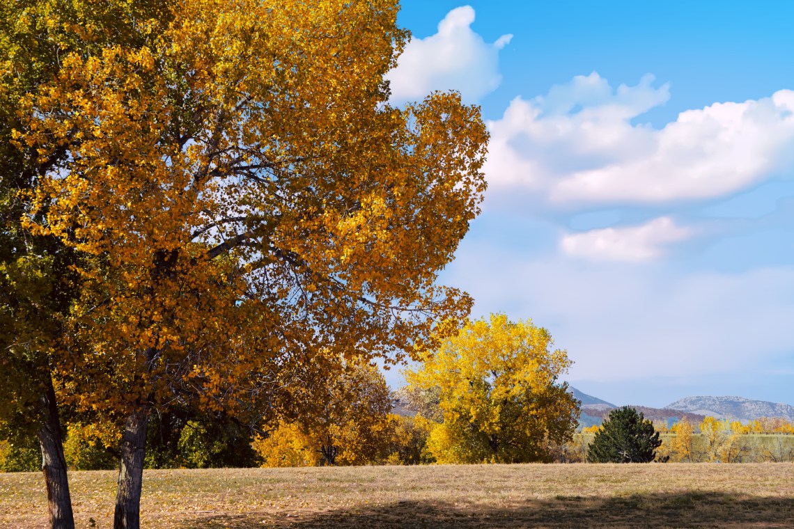00-chatfield-landscape-DSC03425