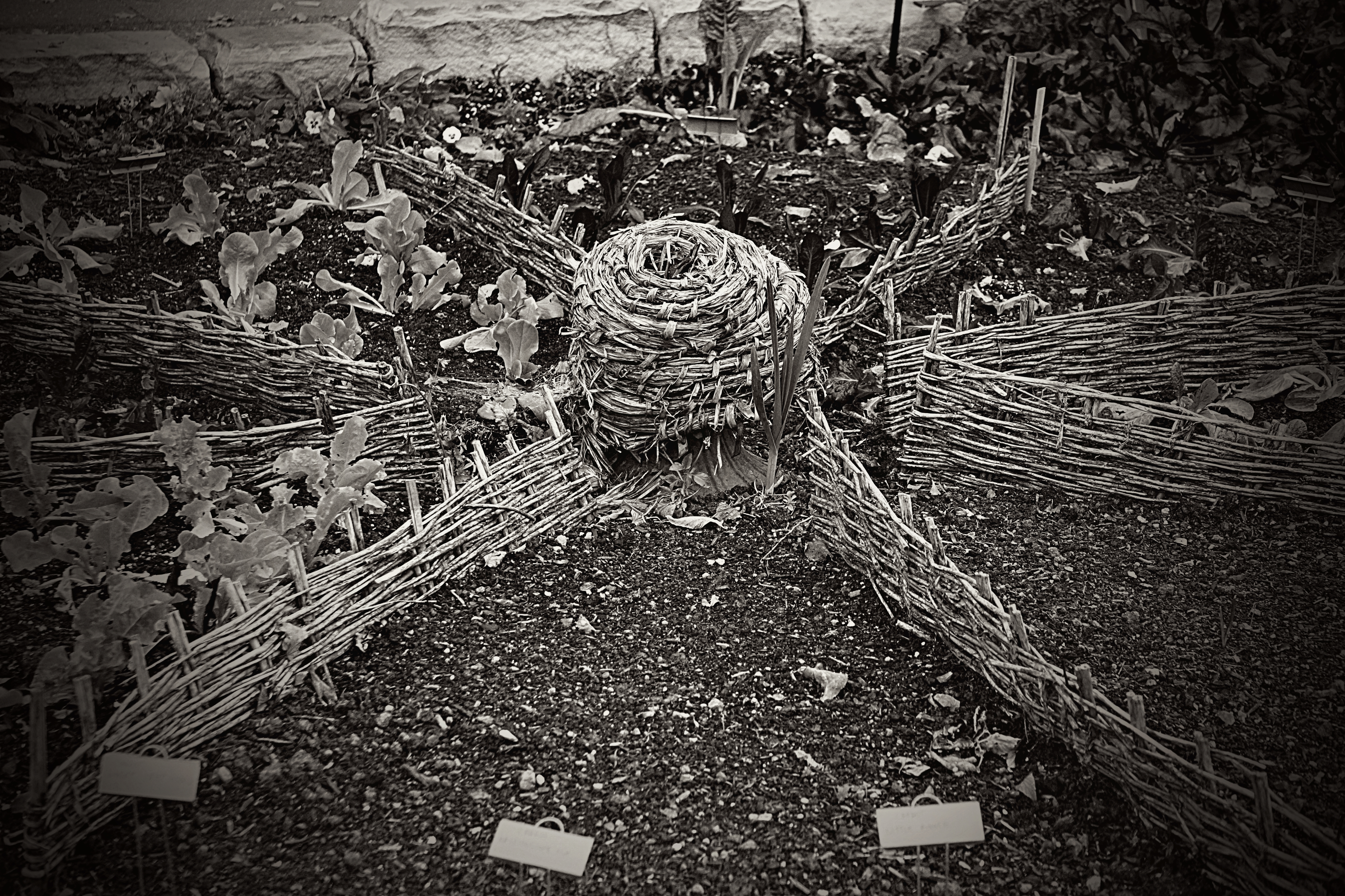 00-ciclegarden-rDSC03226_monochrome