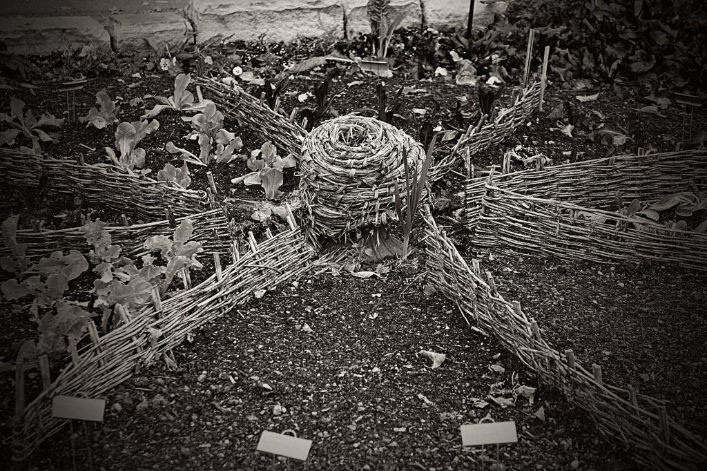 BLACK & WHITE SUNDAY:&nbsp;SHAPE