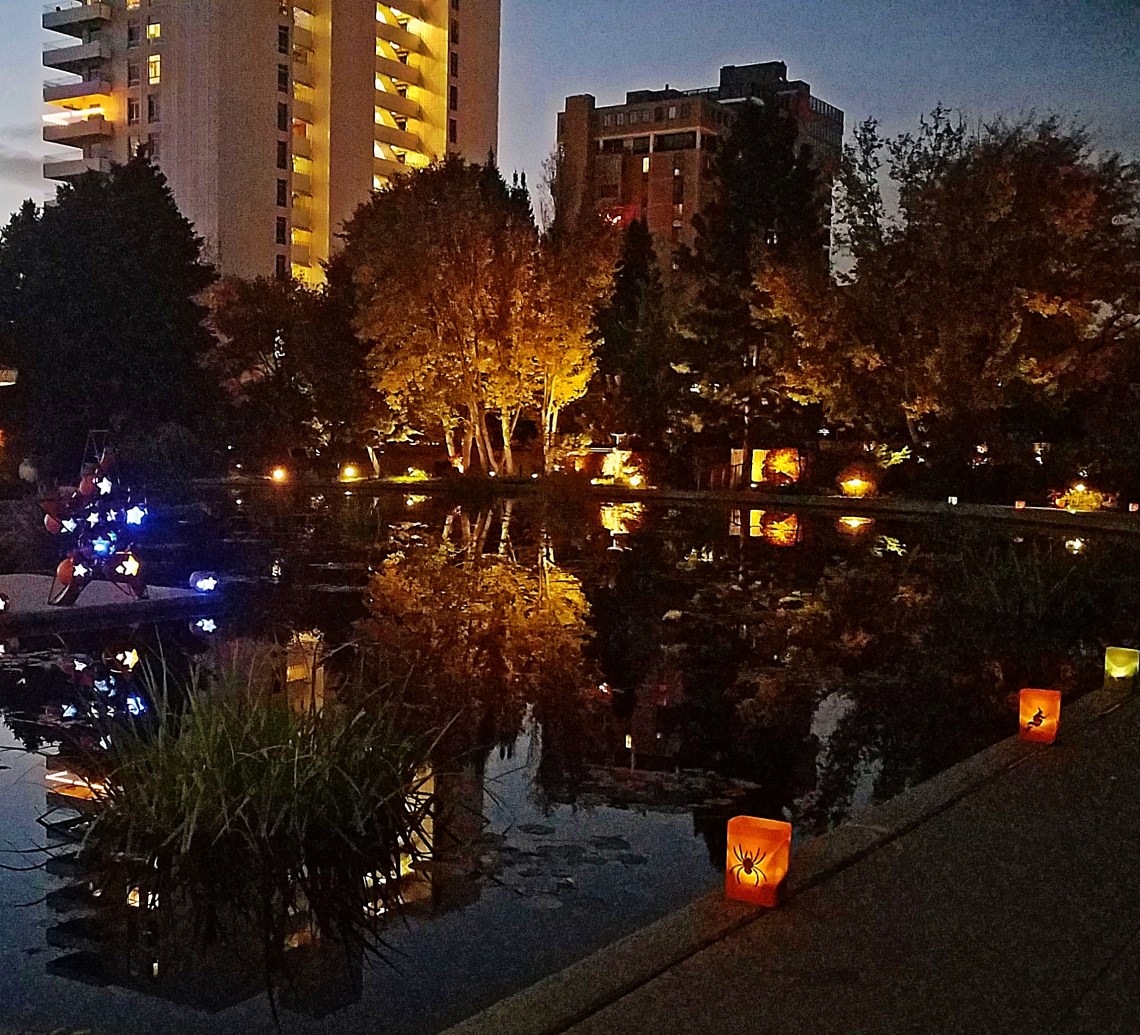 00-DBG-Trees-20171019_185013_A