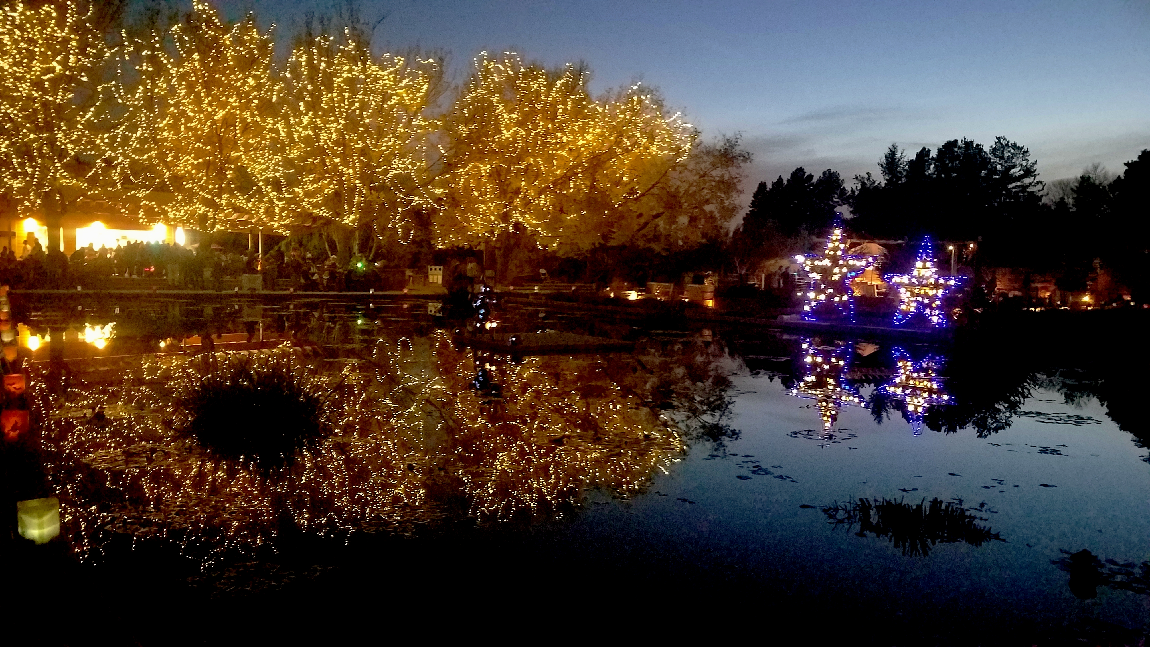 00-DBG-Trees-Glow-20171019_185127A