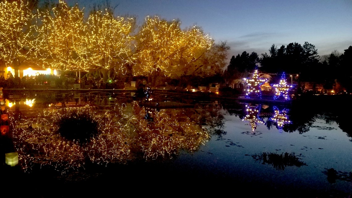 00-DBG-Trees-Glow-20171019_185127A