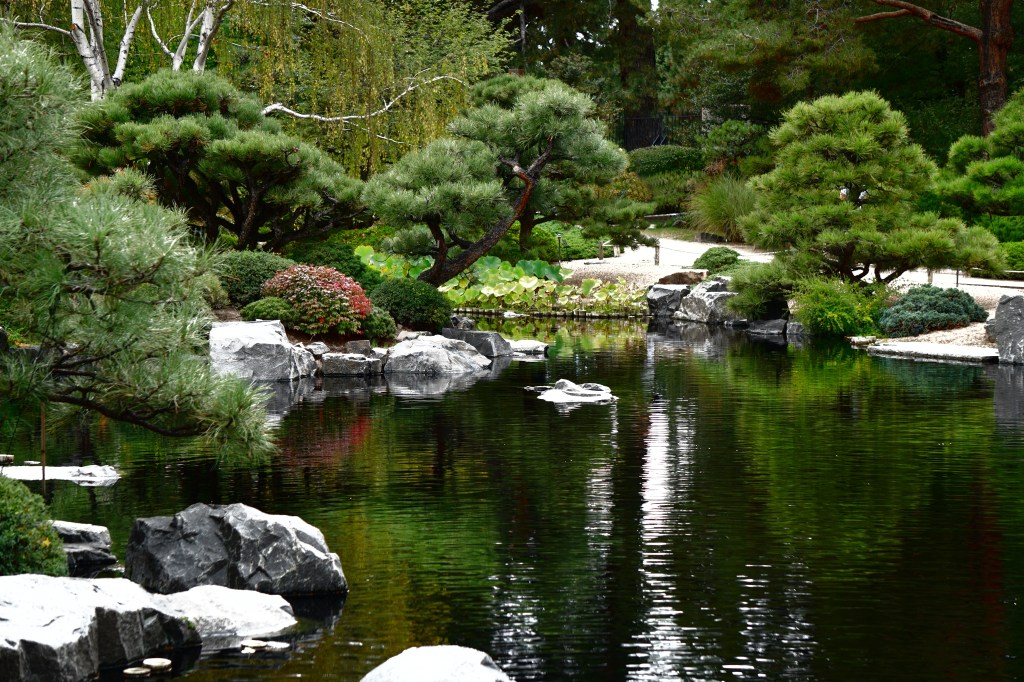 One Word Photo&nbsp;Challenge